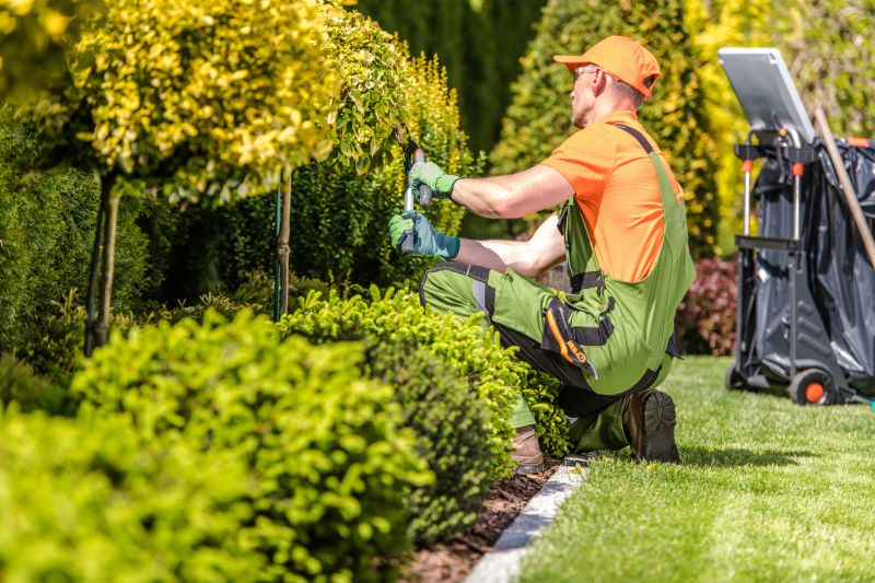 Home Yard Maintenance