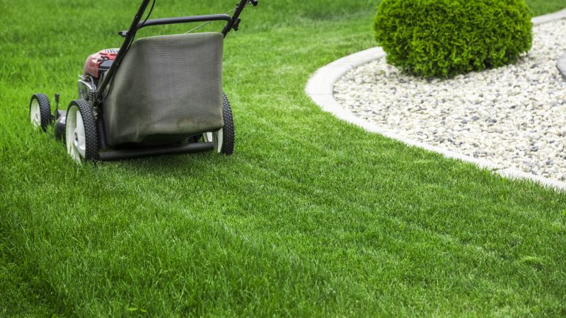 Lawn Cutting Service