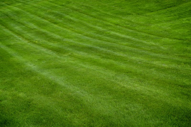 Well-Maintained Lawns