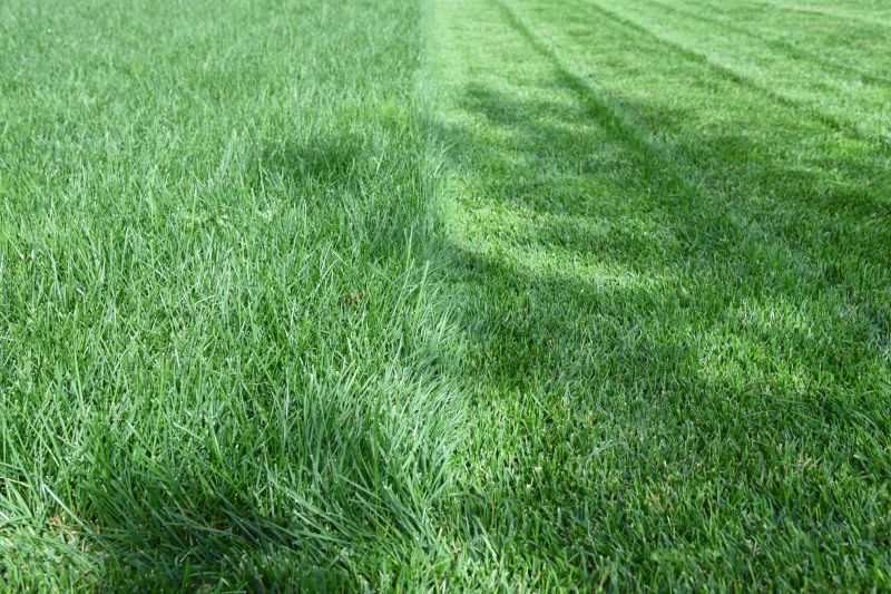 Finished Lawn Work