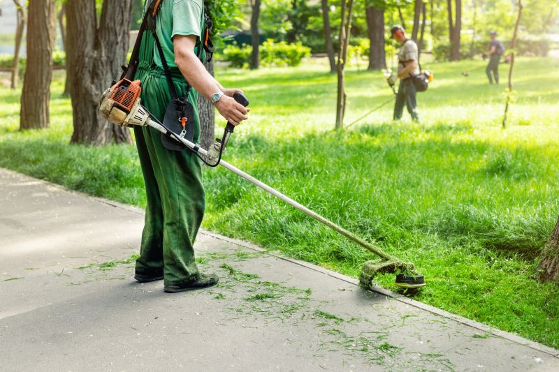Lawn Trimming
