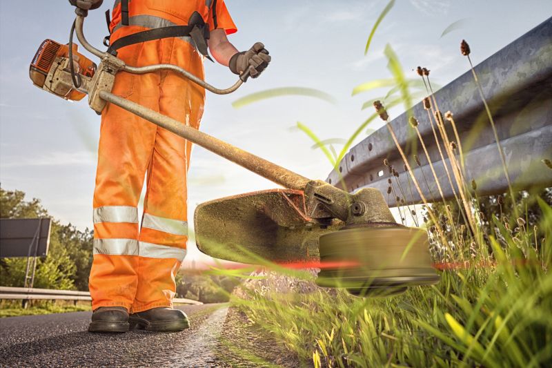 Lawn Weed Whacking