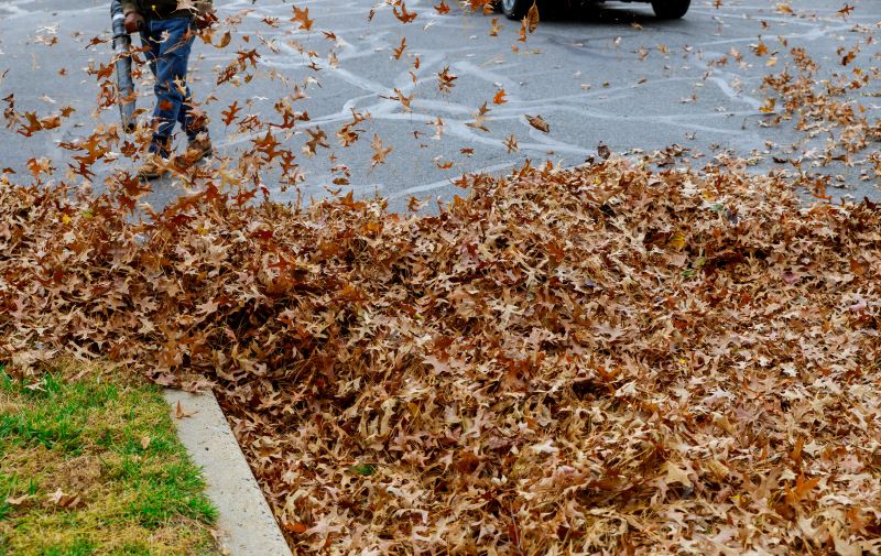 Leaf Mowing