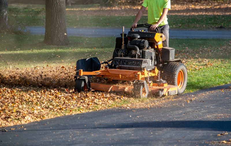 Leaves Mowing