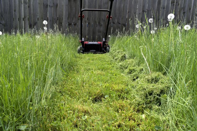 Leaves Mowing