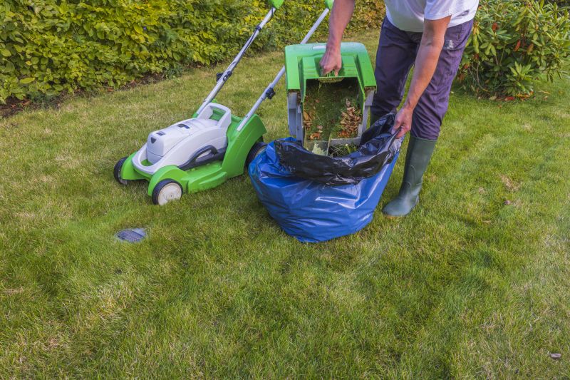 Lot Mowing