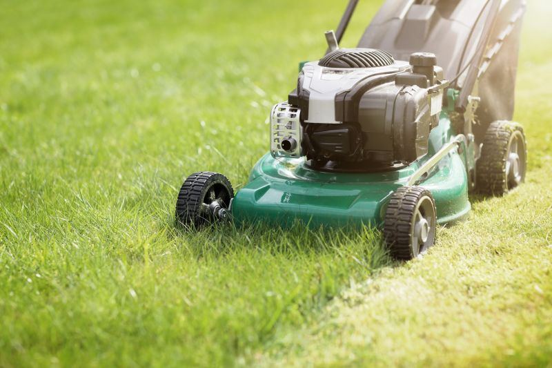 Mowing Service