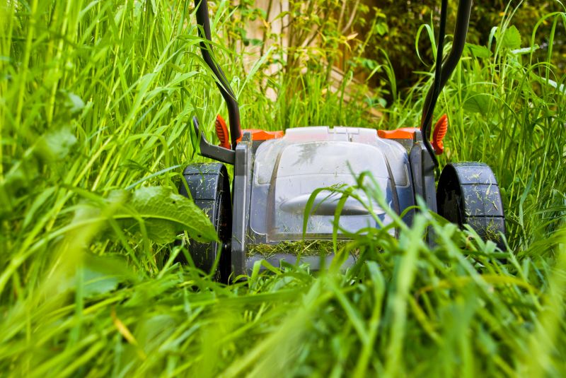 Mowing Service