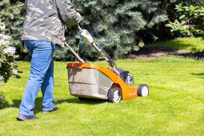 Mowing Service