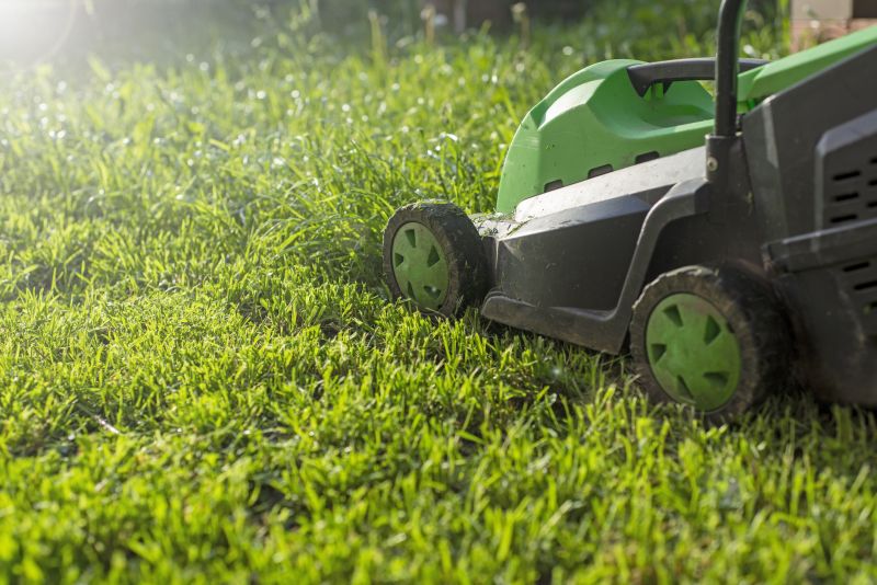 Overgrown Lawn Trimming