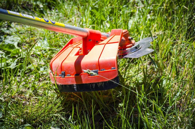 Overgrown Lawn Trimming
