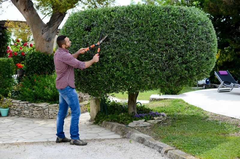 Overgrown Lawn Trimming