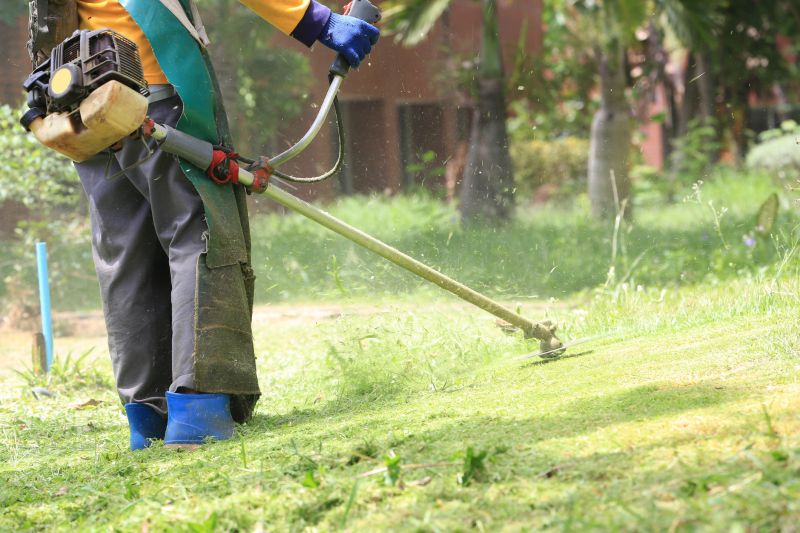 Overgrown Lawn Trimming