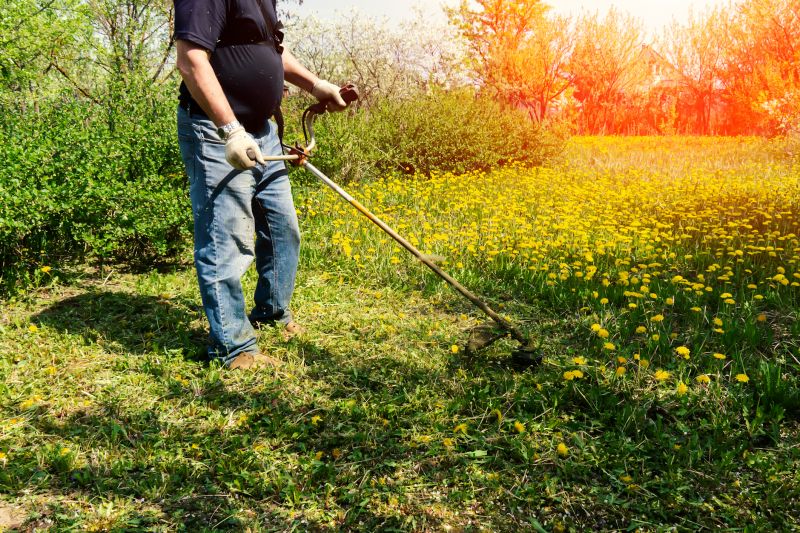 Overgrown Lawn Trimming