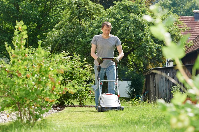 Products For Lawn Mowings in use