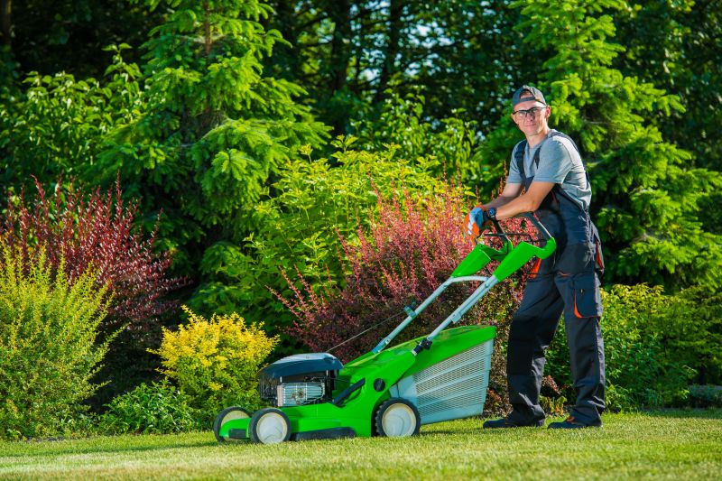 Residential Yard Mowing