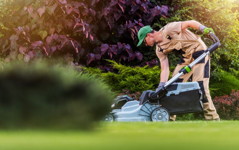 Routine Lawn Maintenance