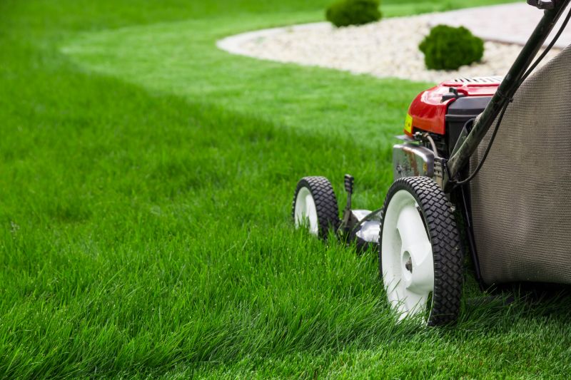 Sloped Area Mowing