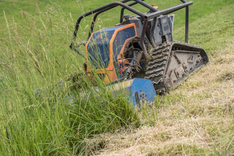 Sloped Area Mowing