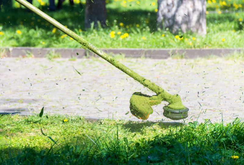 Spring Grass Trimming
