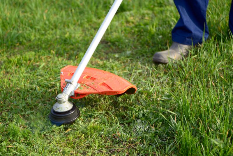 Spring Grass Trimming