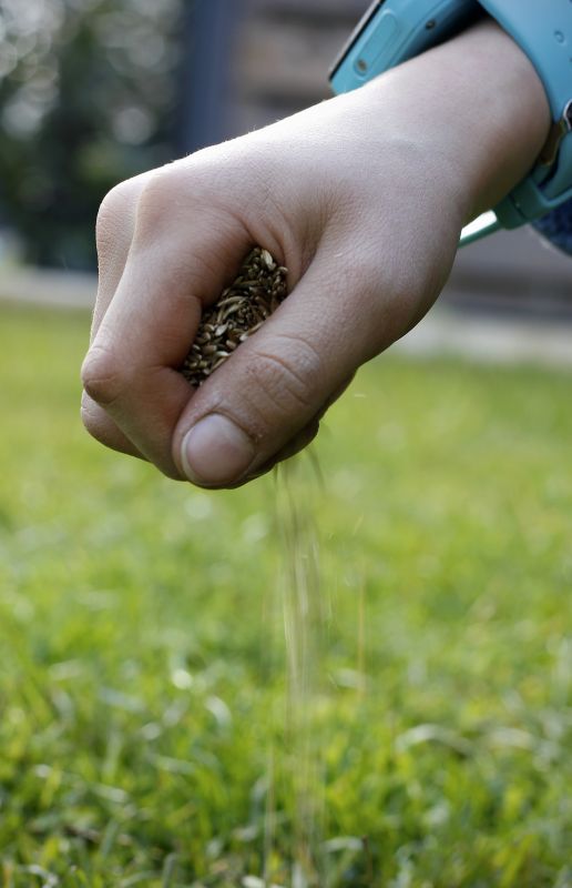 Springtime Lawn Care