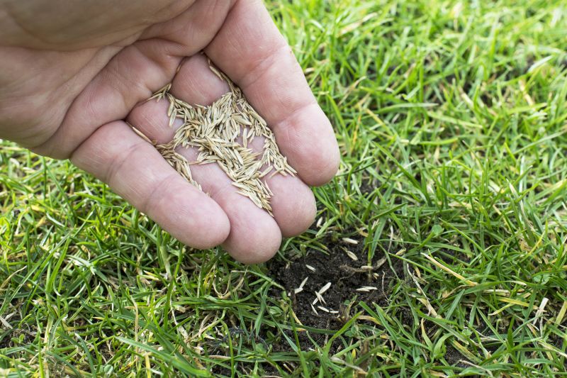 Springtime Lawn Care