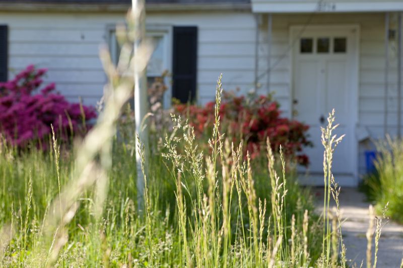 Tall Grass Cutting