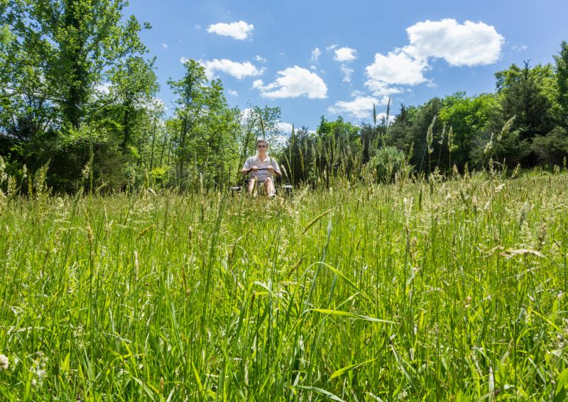 Tall Grass Mowing