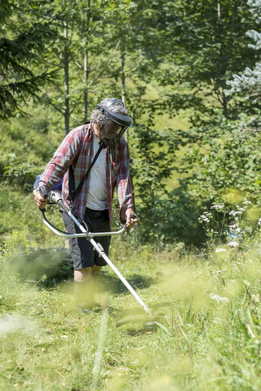 Tall Grass Trimming