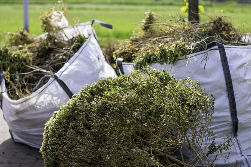 Thatch Removal Service
