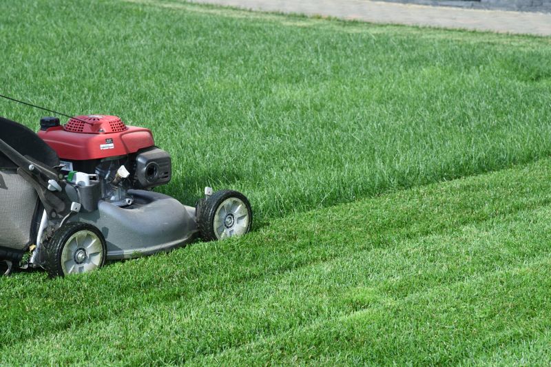 Turf Mowing