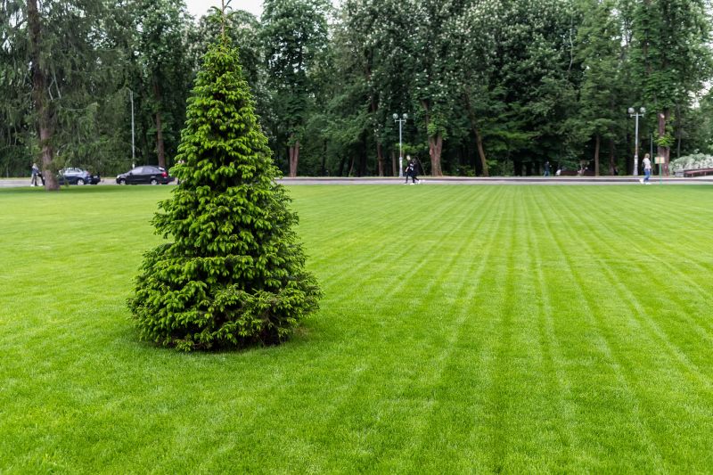 Turf Mowing
