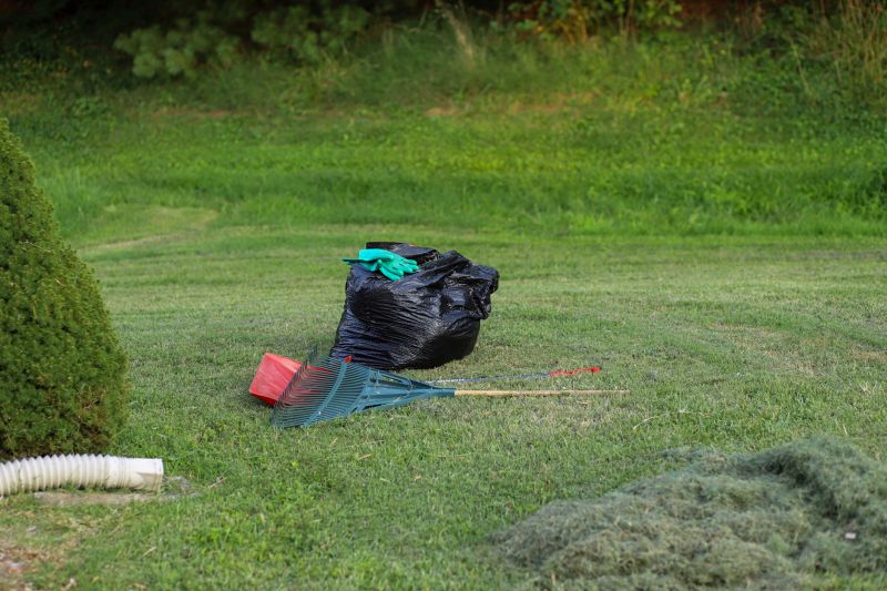Yard Upkeep Service